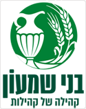 לוגו מ.א. בני שמעון